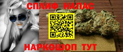 дмт Будённовск