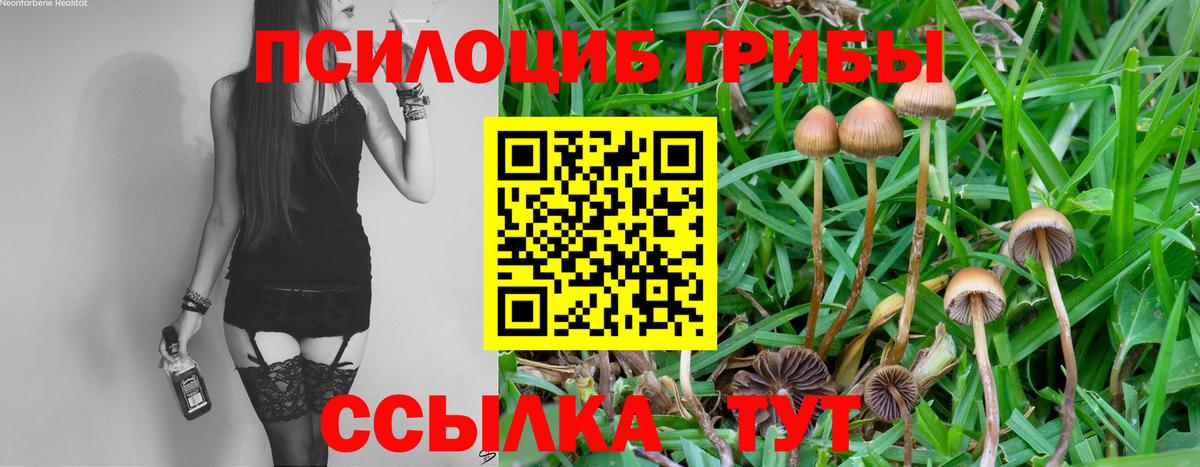Галлюциногенные грибы мицелий Серпухов